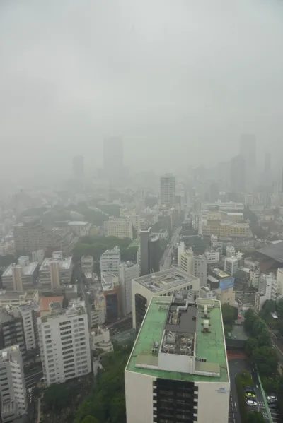 DSC_3246 (Large).JPG